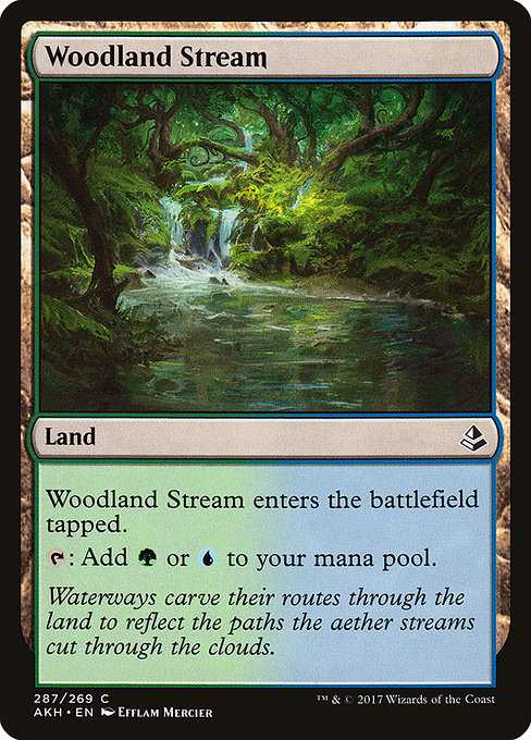 Woodland Stream