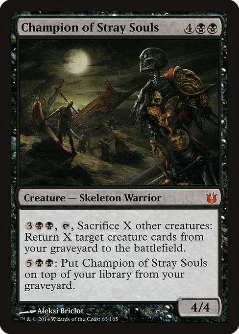 Champion of Stray Souls
