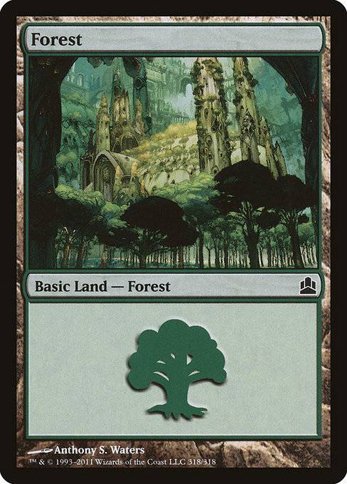 Forest