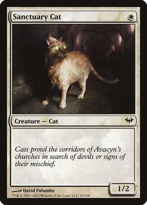 Sanctuary Cat