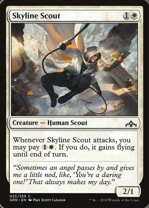 Skyline Scout