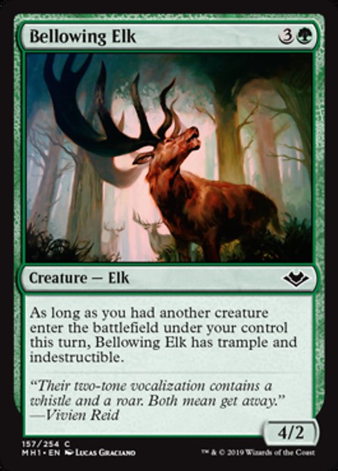 Bellowing Elk