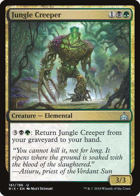 Jungle Creeper