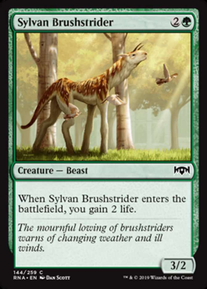 Sylvan Brushstrider