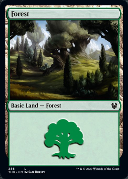 Forest